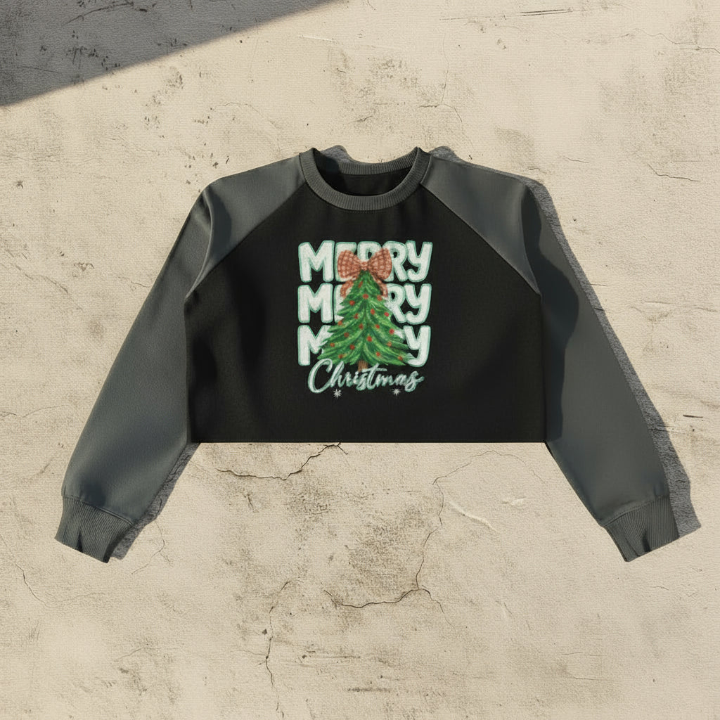 Raw-Hem Color-Block Raglan Crop Sweatshirt