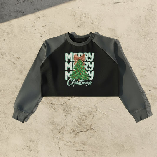 Raw-Hem Color-Block Raglan Crop Sweatshirt